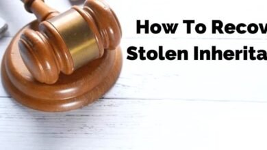 stolen inheritance