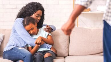 Domestic Abuse Legal Protections