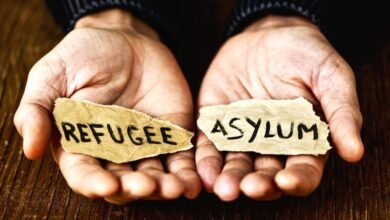 Asylum Law in Scotland